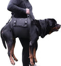 Emergency Backpack Pet Legs Support & Rehabilitation Dog Lift Harness for Large Dogs