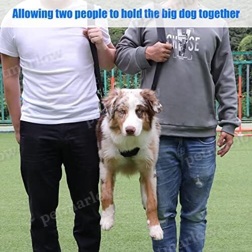 Emergency Backpack Pet Legs Support & Rehabilitation Dog Lift Harness for Large Dogs – view 3