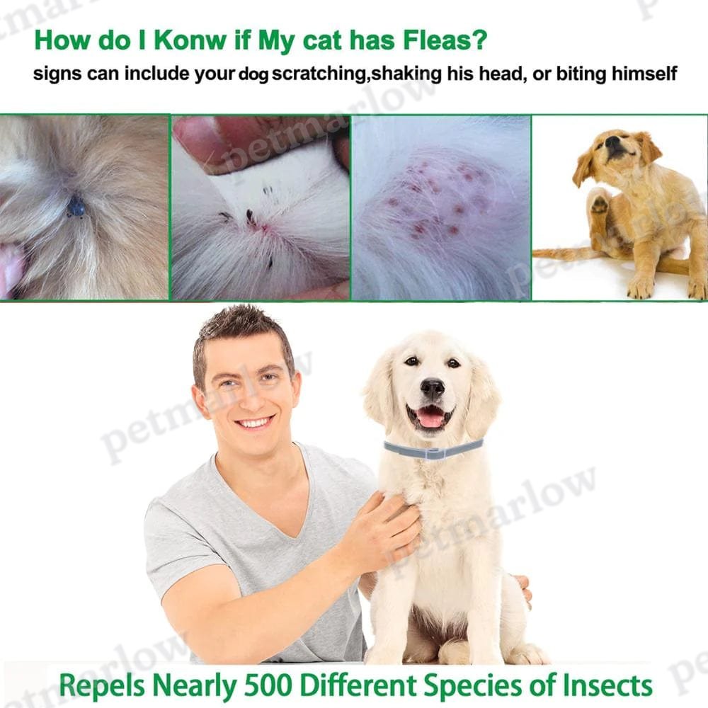 Essential Oil Flea & Tick Collar – view 3