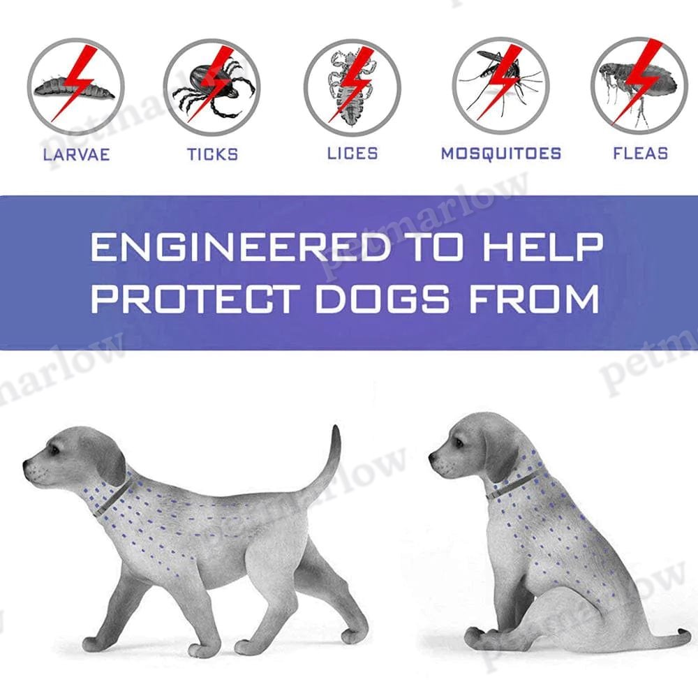 Essential Oil Flea & Tick Collar – view 5