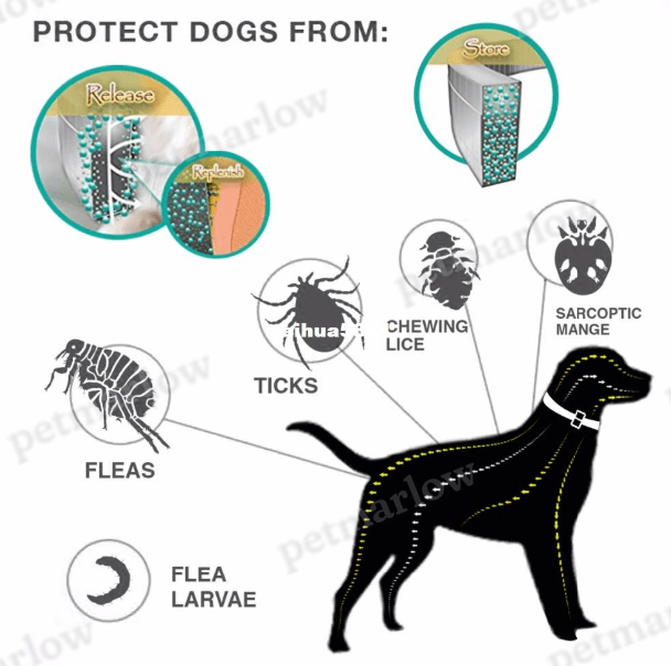 Essential Oil Flea & Tick Collar – view 6