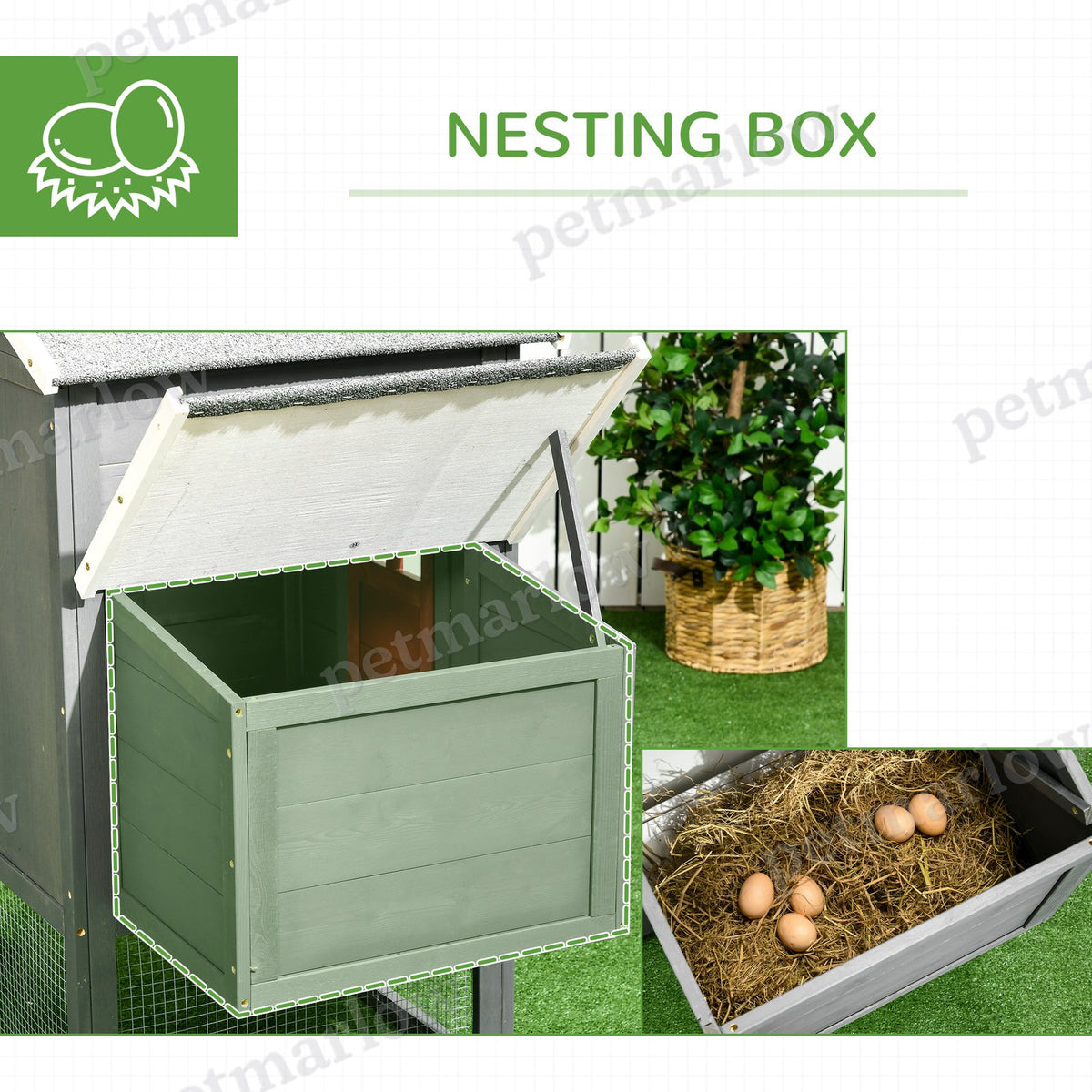 Extra Large Chicken Coop with Slide-Out Tray and Nesting Box – view 6