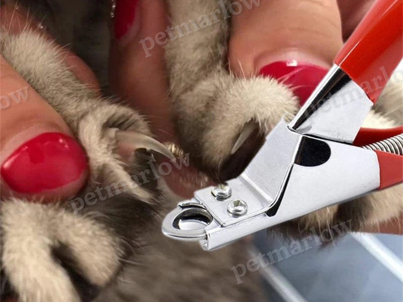 Ez Clip Nail Clippers – view 6