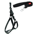 Ez On Nylon Harness – Black