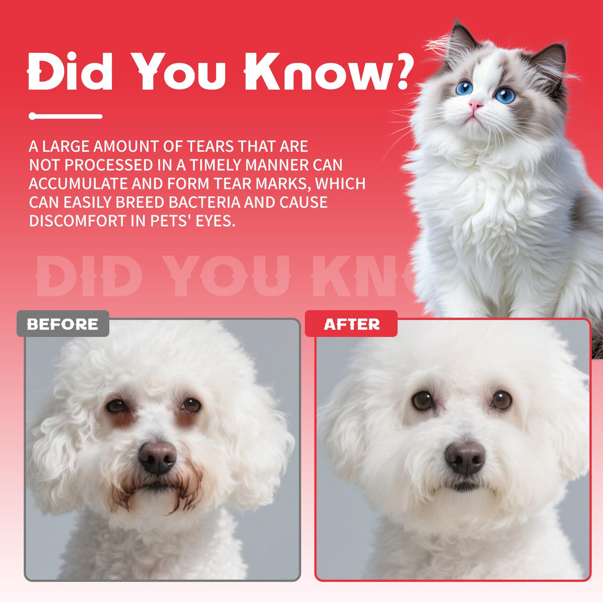 Pet Tear Stain Removal Powder for Dogs and Cats – view 13