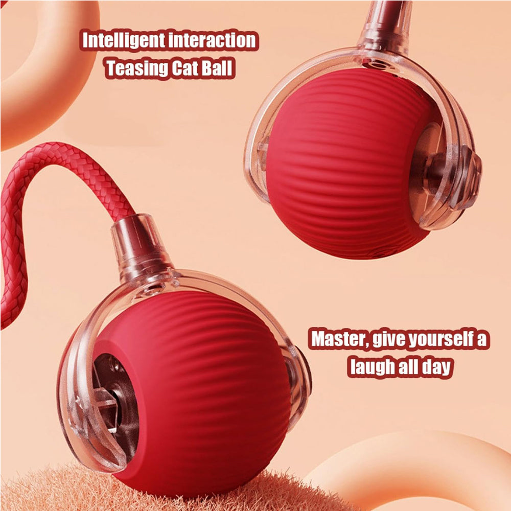 Interactive Electric Pet Ball Toy for Dogs and Cats – view 10
