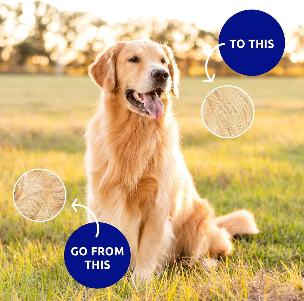 Dual-Head Pet Hair Removal Brush – view 7