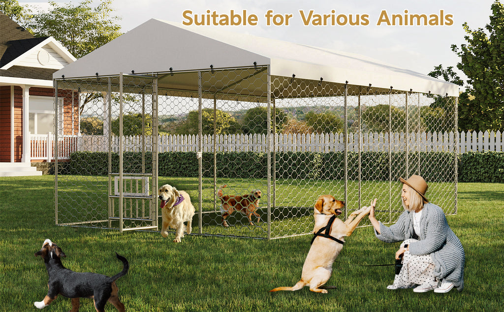 Large Outdoor Dog Kennel with Canopy for Comfort and Security – view 12