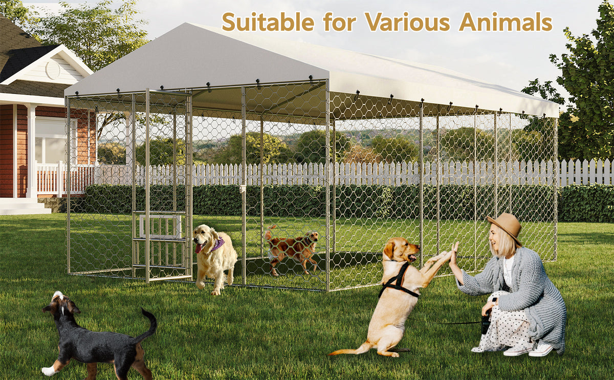 Large Outdoor Dog Kennel with Canopy for Comfort and Security – view 12