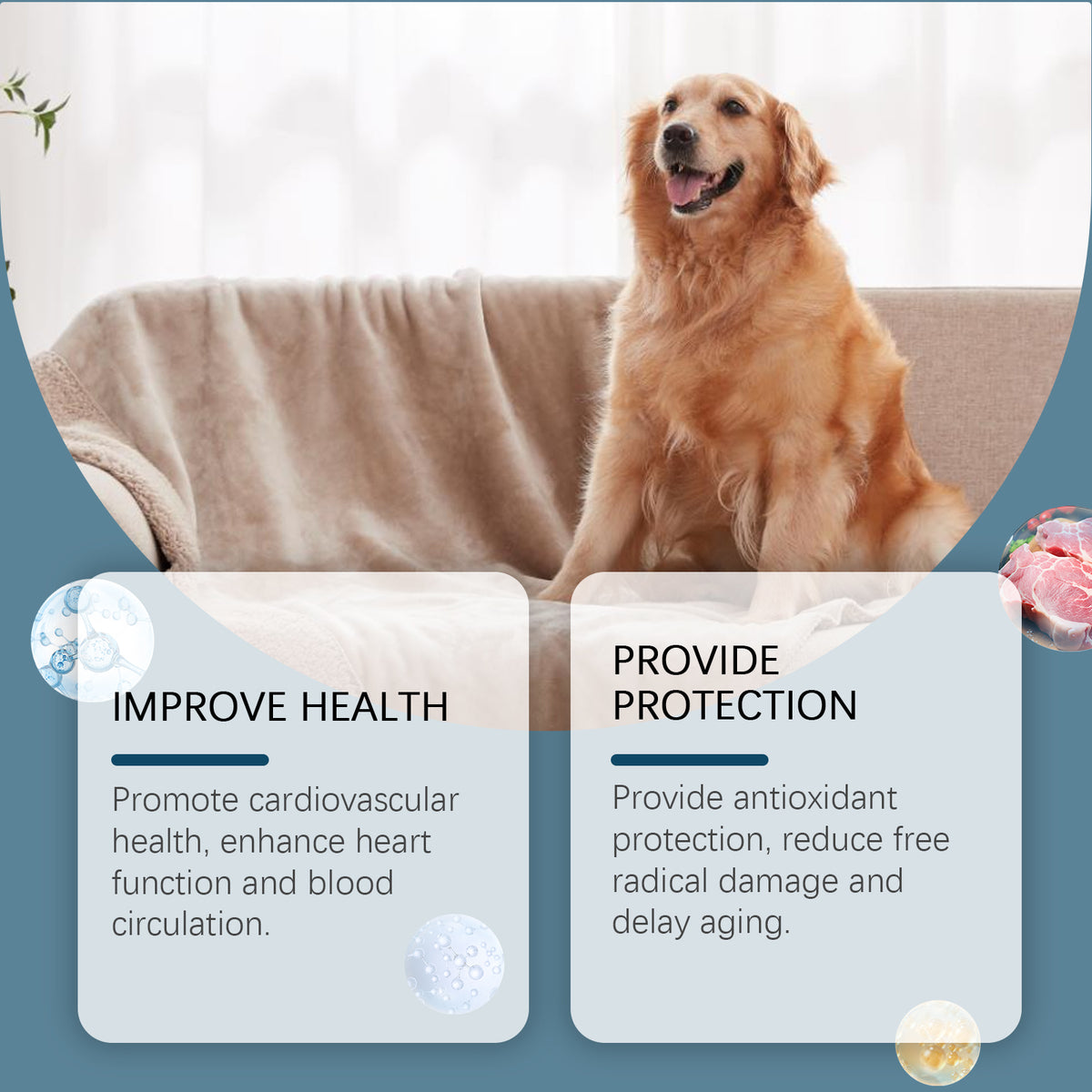 Dog Mineral Supplement Tablets for Appetite & Bone Health – view 8