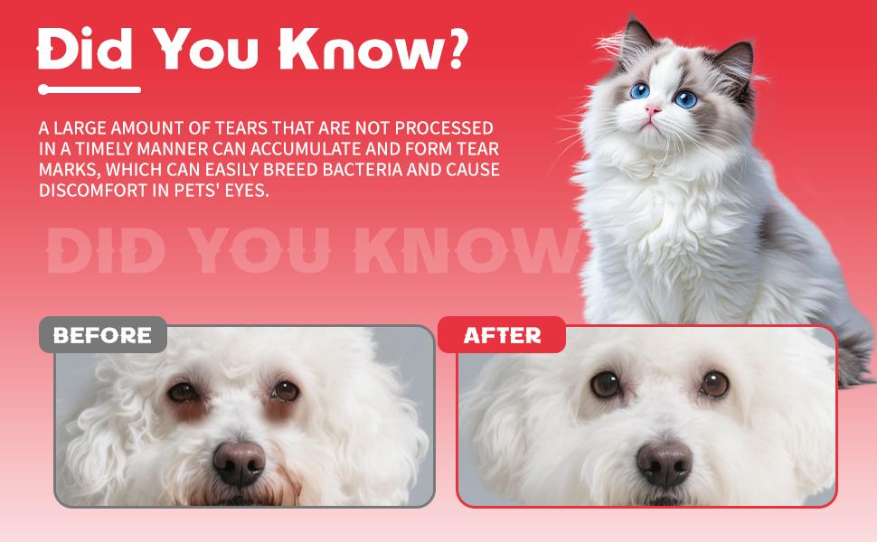 Pet Tear Stain Removal Powder for Dogs and Cats – view 10