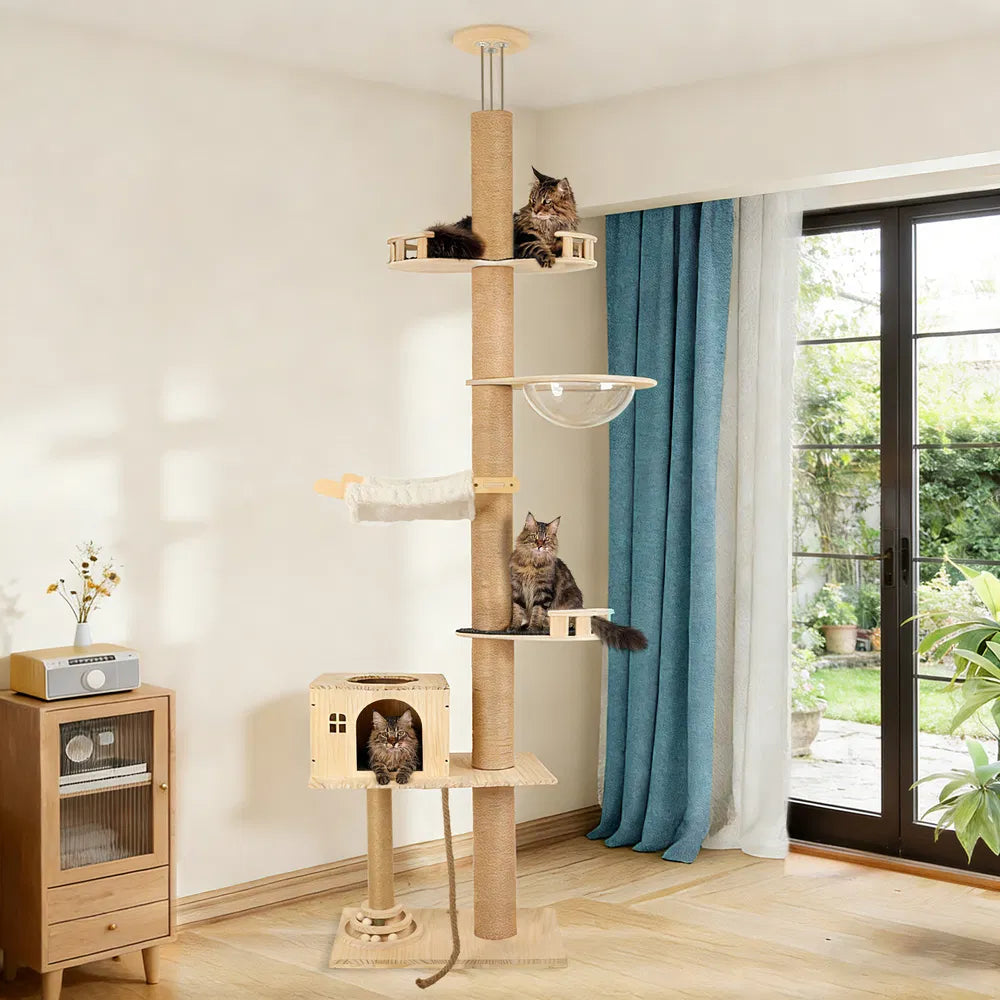 Floor To Ceiling Cat Tree with Adjustable Height and Hammock – M