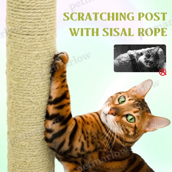 Flower Cat Tree with Condo and Hammock for Play – view 6