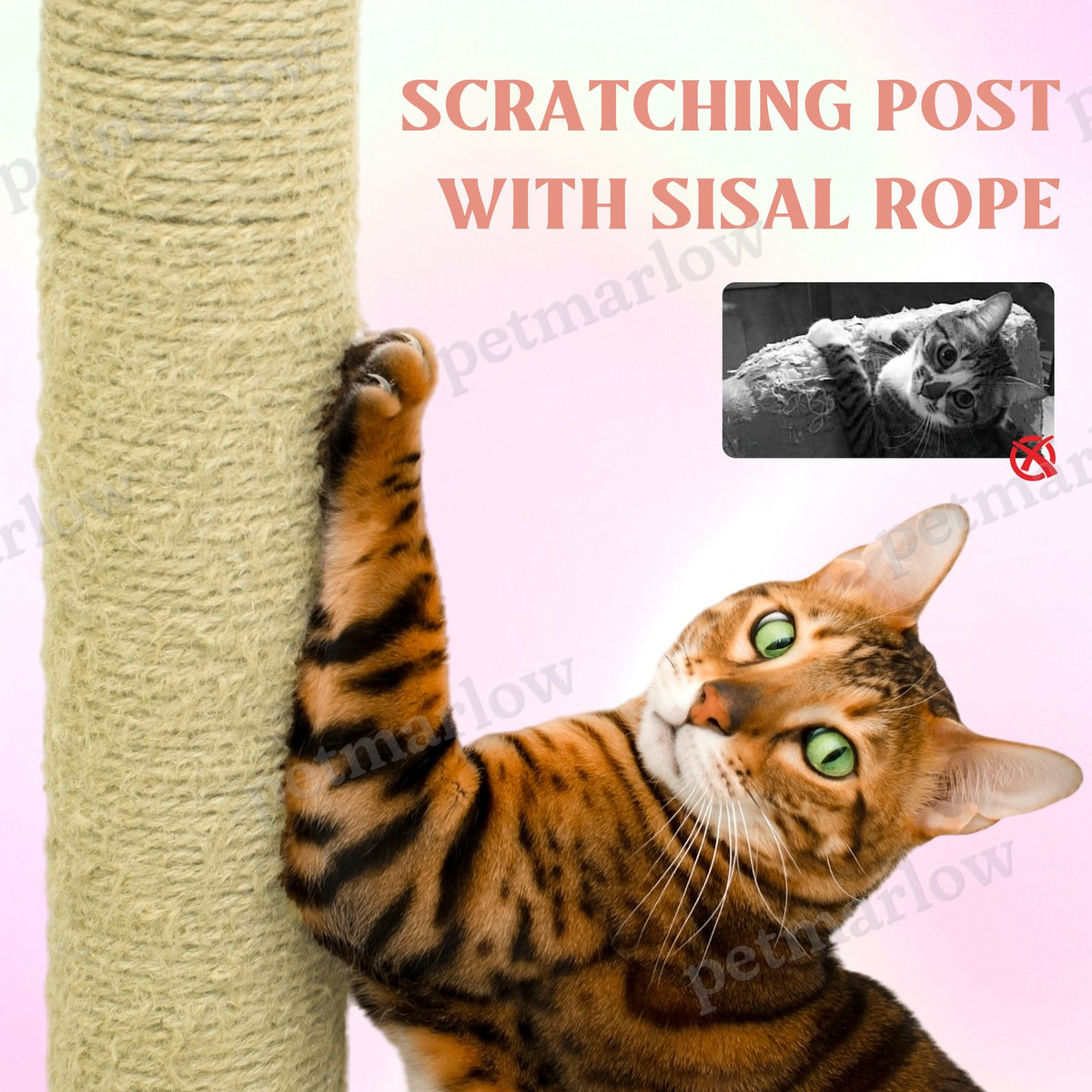 Flower Cat Tree with Large Condo and Removable Cushion – view 6