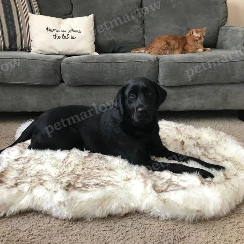 Fluffy Dog Rug – view 3