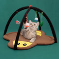 Foldable Cat Play Tent with Hanging Toys and Activity Mat – Little Bee