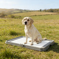 Foldable Dog Litter Box for Easy Potty Training – Defaulttitle