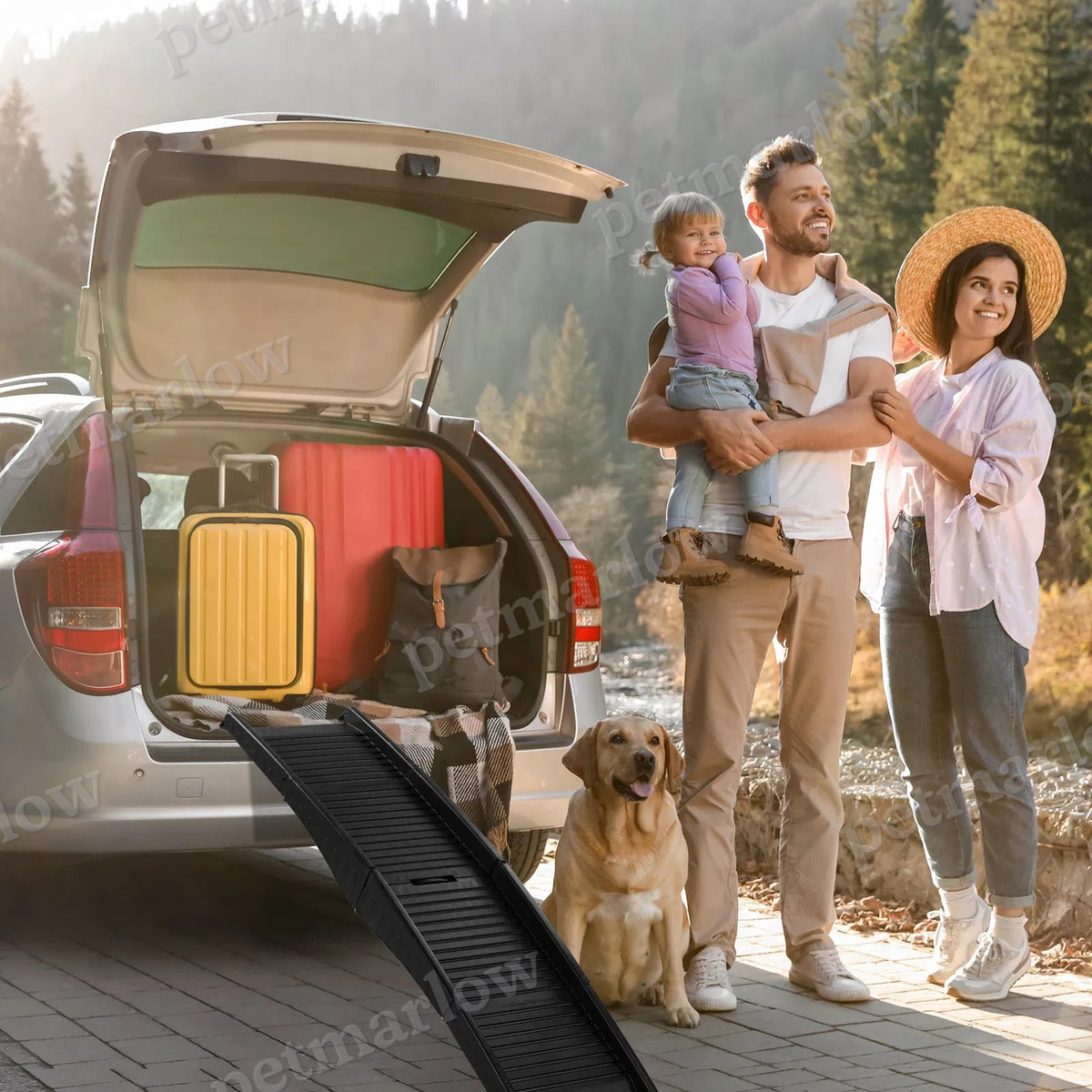 Folding Dog Ramp for Easy Car Access and Travel – view 3