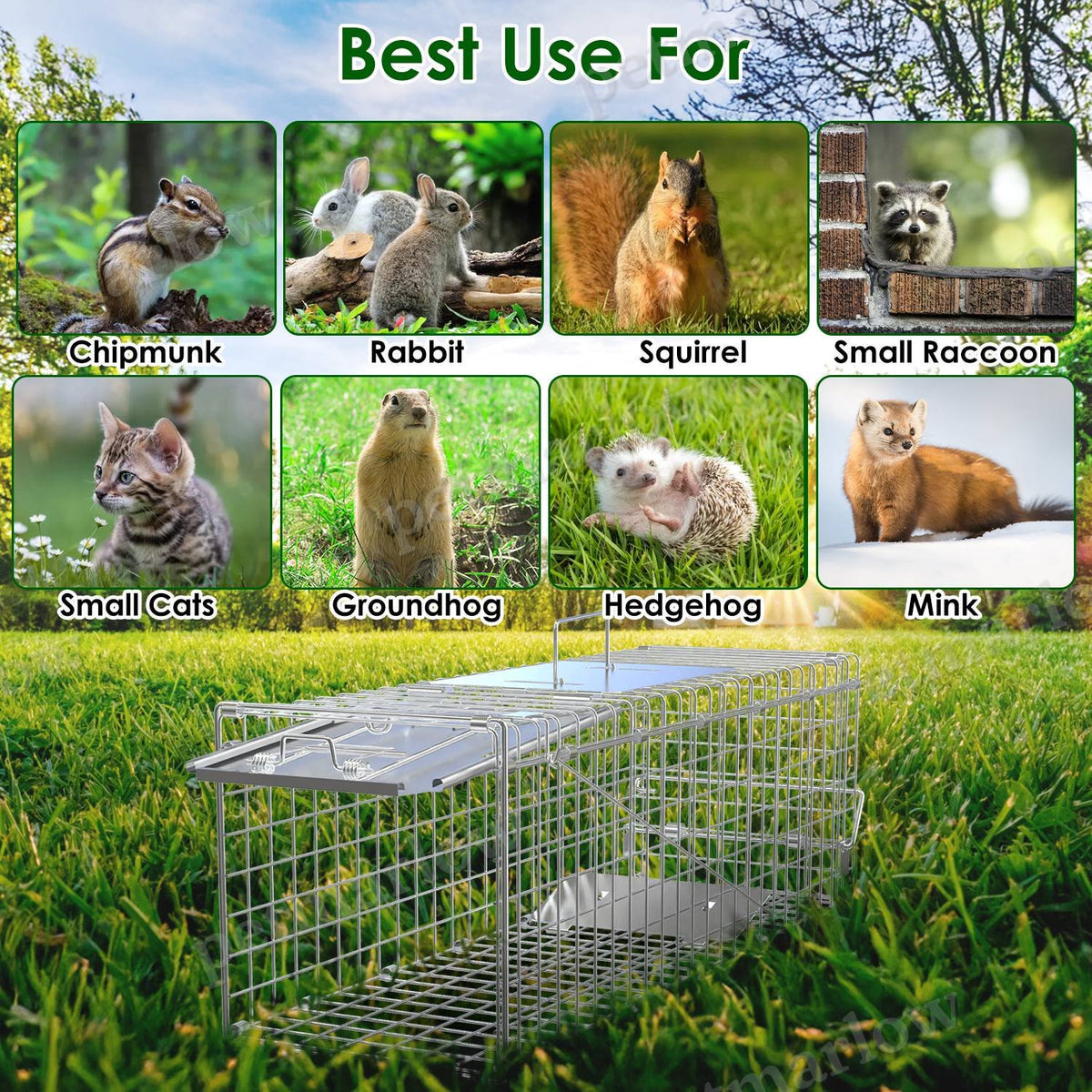 Folding Humane Live Animal Trap Cages for Small Animals – view 3