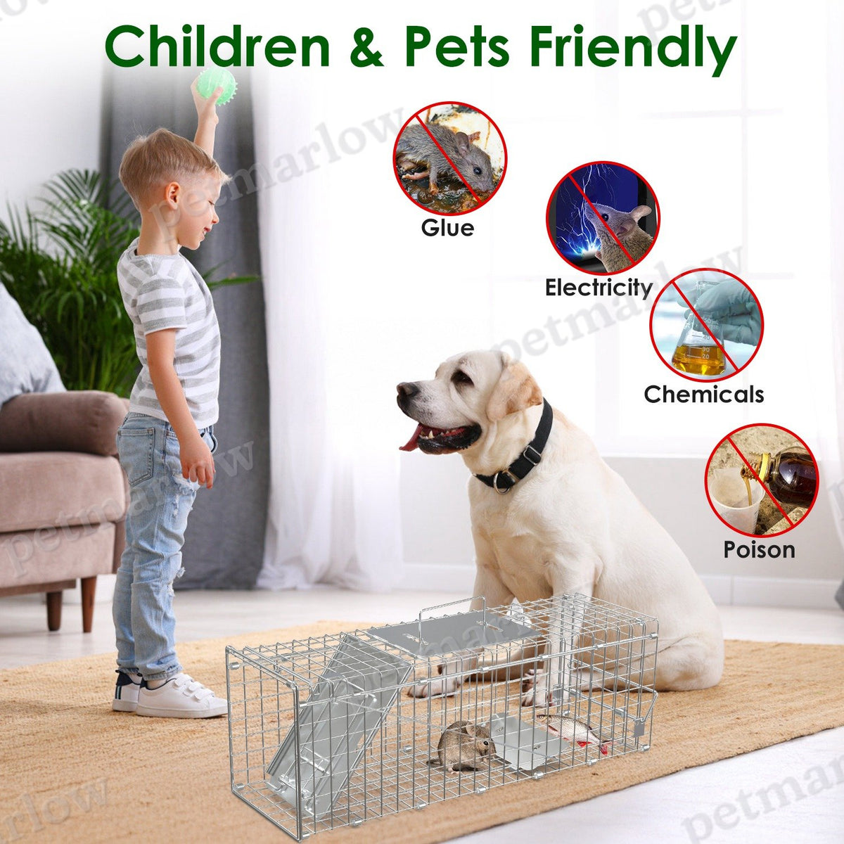 Folding Humane Live Animal Trap Cages for Small Animals – view 6