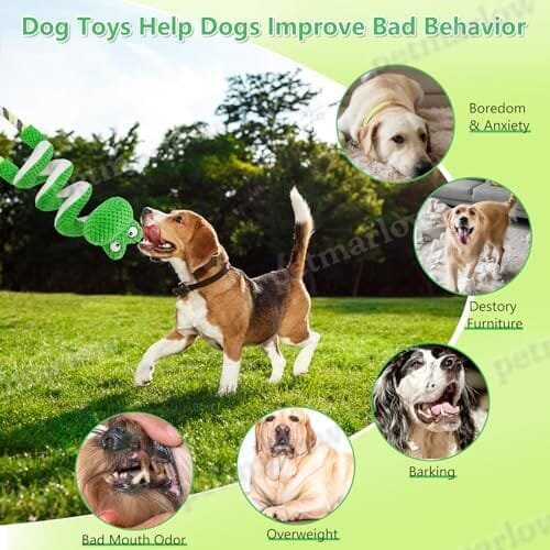 Frog Interactive Squeaky Dog Toys with Pull Rope – view 4