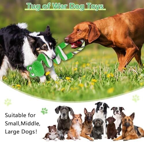 Frog Interactive Squeaky Dog Toys with Pull Rope – view 7