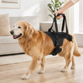 Full-Body Padded Dog Mobility Harness (Adjustable Lift Straps) – Black / L