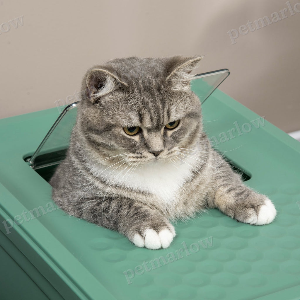 Fully Enclosed Cat Litter Box with Spoon – view 4