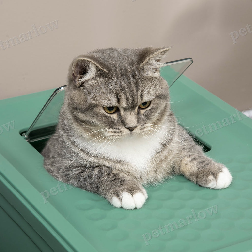 Fully Enclosed Cat Litter Box with Easy Access and Clean-Up – view 3