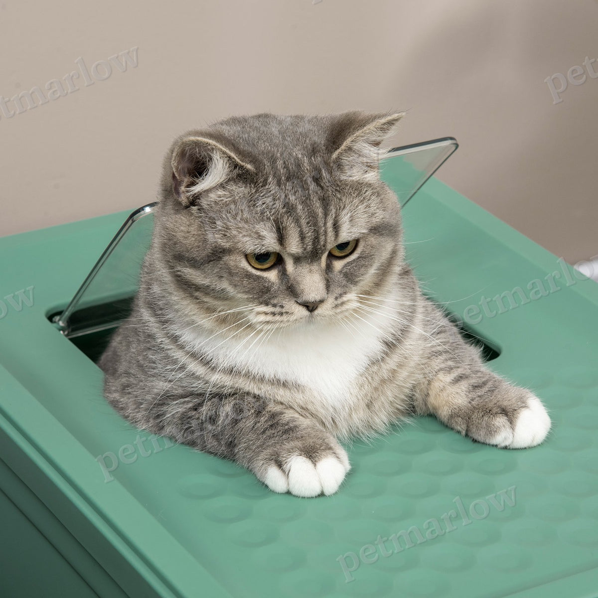 Fully Enclosed Cat Litter Box with Easy Access and Clean-Up – view 3
