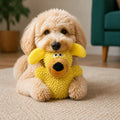 Giggling Dog-Color Tooth-Cleaning Toy – Yellow