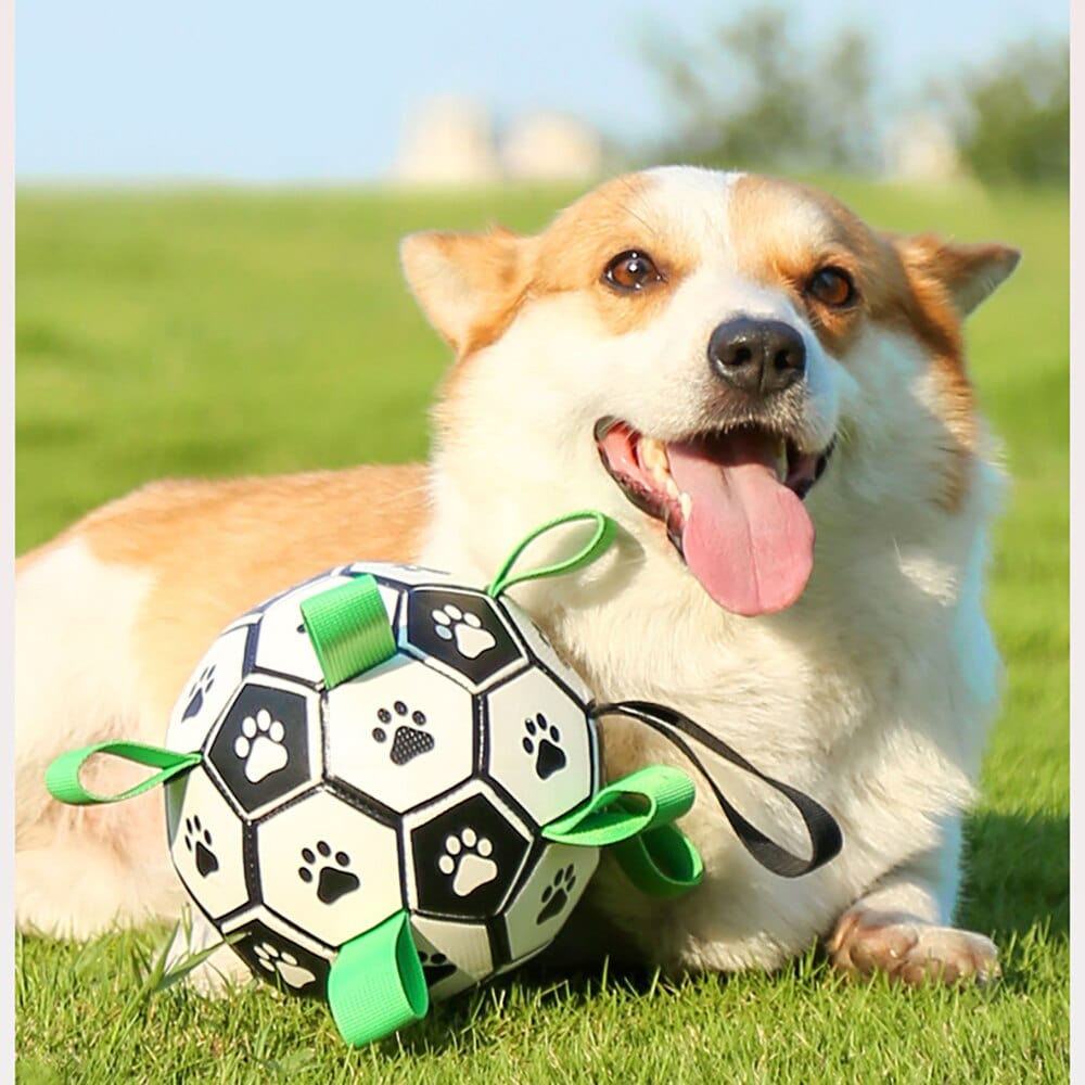 Grab Tab Football – 15cm / 6"