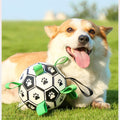 Grab Tab Football – 15cm / 6"