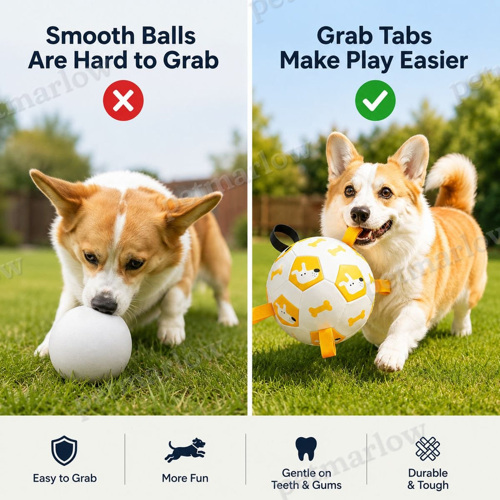 Grab-Tab Inflatable Dog Soccer Ball (Pump Included) – view 6