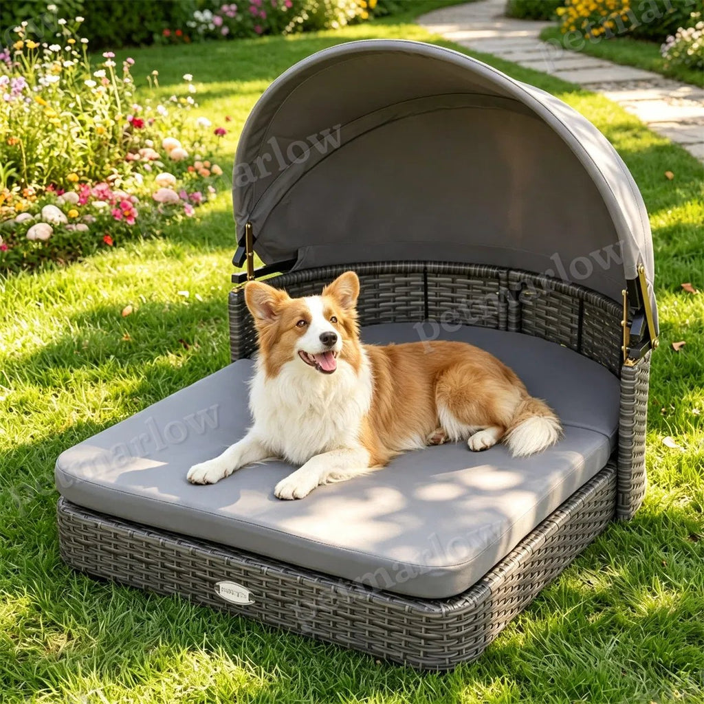 Hand-Woven PE Rattan Dog Bed with Canopy – view 3