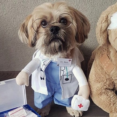 Halloween Costumes – Doctor / S