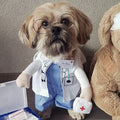 Halloween Costumes – Doctor / S