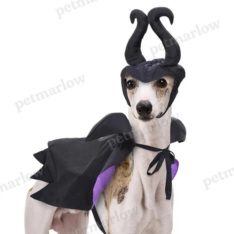 Halloween Dog Witch Cloak Halloween Cloak Hat Outfit Cosplay Clothes – view 4