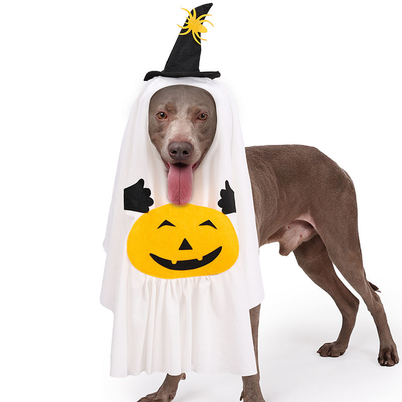 Halloween Ghost Dog Pet Costume Set White Ghost Cosplay Outfit – Small (S)