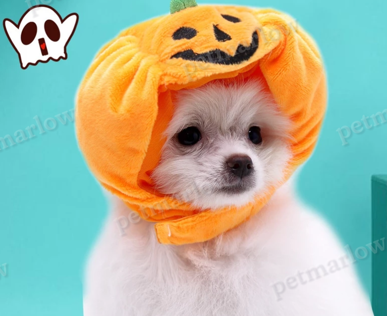 Halloween Pumpkin Costume for Dogs – view 2