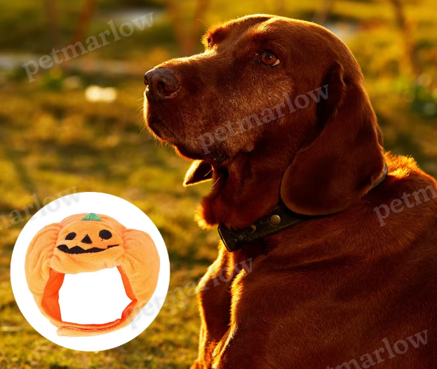 Halloween Pumpkin Costume for Dogs – view 5