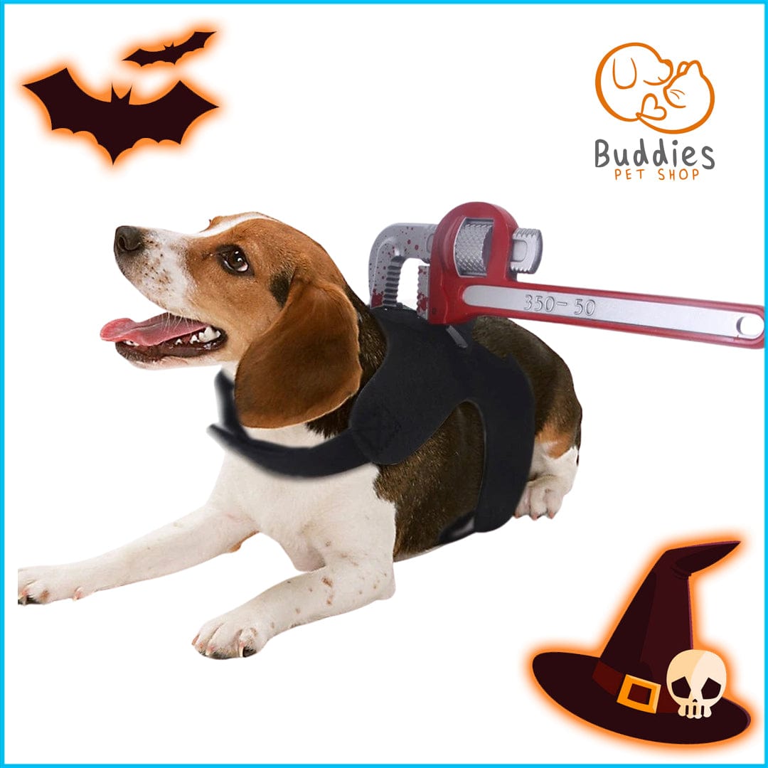 Halloween Scare