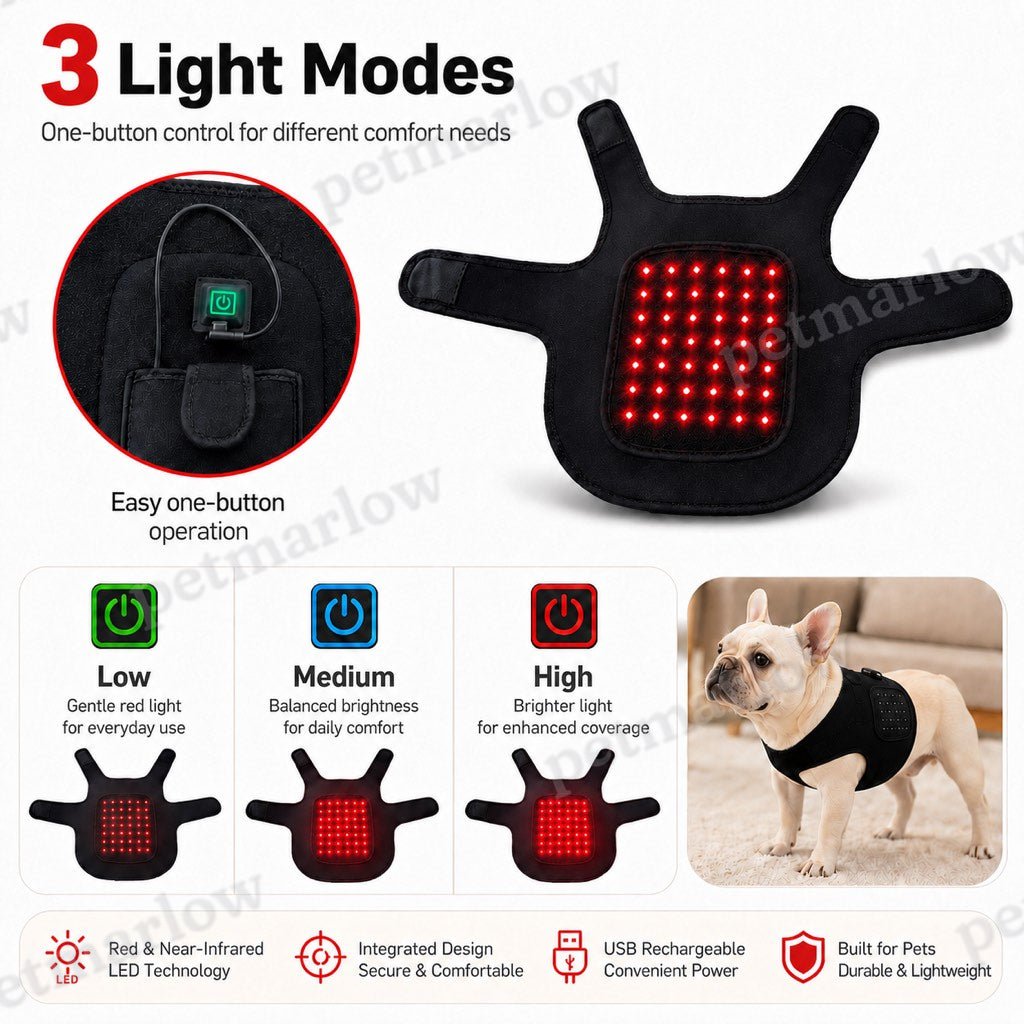 Hands-Free Red & Near-Infrared Vest (For French Bulldogs) – view 6
