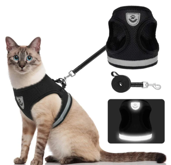 Harness For Cats With Leash – Black / S