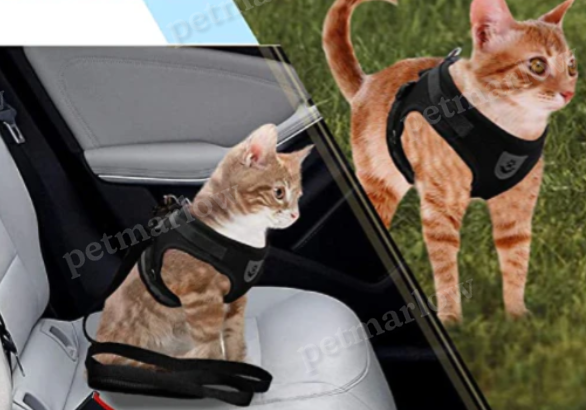 Harness For Cats With Leash – view 6