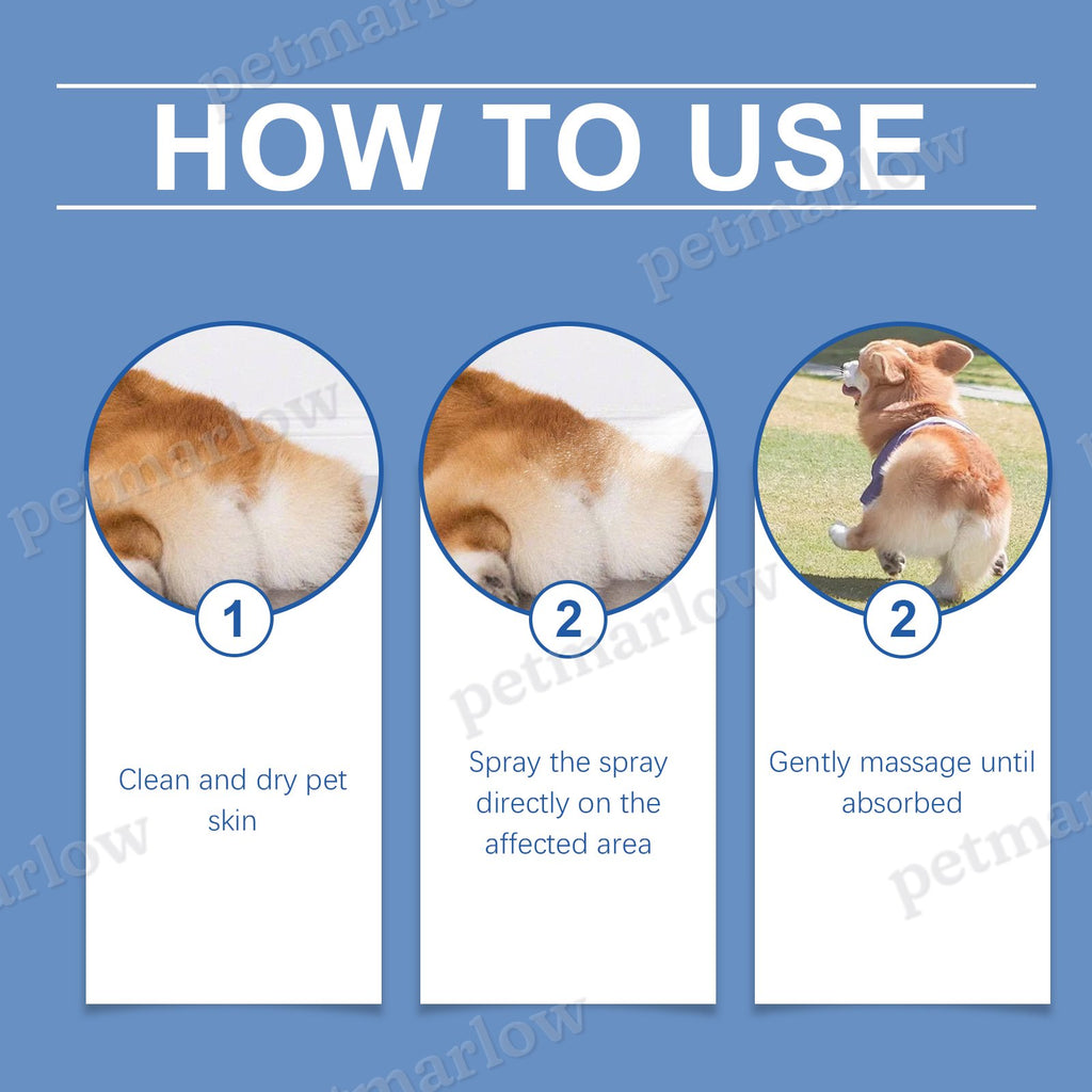Healthy Anal Gland Spray for Dogs - Comfort and Odor Relief – view 4