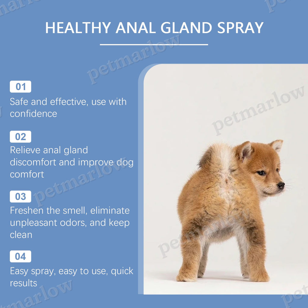 Healthy Anal Gland Spray for Dogs - Comfort and Odor Relief – view 6