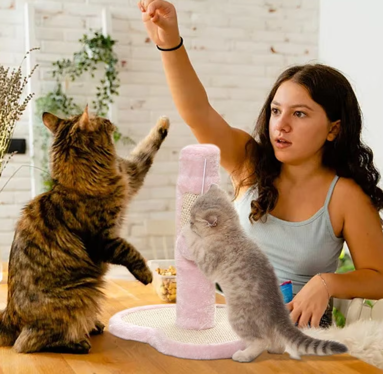 Heart-Shaped or Star-Shaped Cat Tree with Toys
