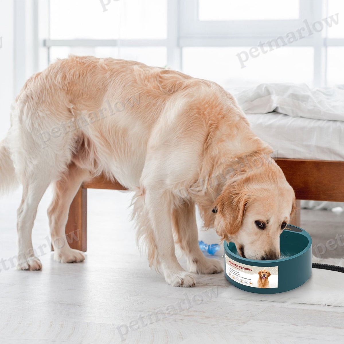 Heated Water Bowl for Dogs and Cats - 74.4oz Capacity – view 3