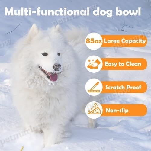 Heated Water Bowl With Chew-Proof Cord - 85-Ounce Outdoor Thermal Bowl – view 5